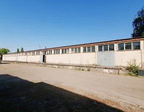 Hala do wynajęcia, Słubicki Rzepin Słowackiego, 5000 zł, 900 m2, 830296