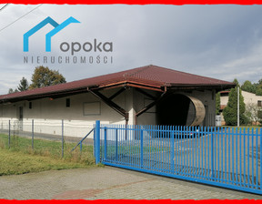 Lokal do wynajęcia, Cieszyński (Pow.) Cieszyn Frysztacka, 17 000 zł, 850 m2, 70