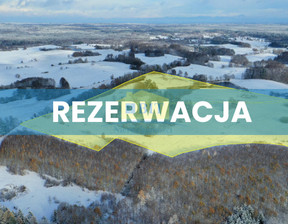 Działka na sprzedaż, Drawski Czaplinek Żerdno, 748 000 zł, 136 000 m2, 1024/3771/OGS