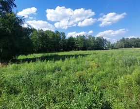 Działka na sprzedaż, Koniński (Pow.) Skulsk (Gm.) Koszewo, 250 000 zł, 5200 m2, 84