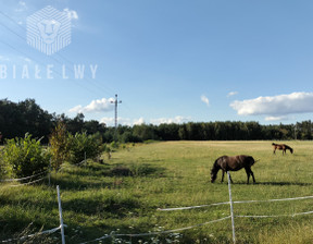 Działka na sprzedaż, Siedlecki Kotuń Jagodne, 165 650 zł, 3313 m2, BLN805636