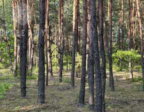 Działka na sprzedaż, Miński Dobre Gęsianka, 108 000 zł, 5200 m2, BLN374189