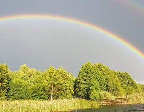 Działka na sprzedaż, Świecki Jeżewo Taszewko, 450 000 zł, 14 241 m2, 60/6076/OGS