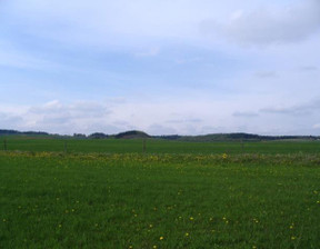 Działka na sprzedaż, Olecki Olecko Olszewo, 127 800 zł, 14 200 m2, 620