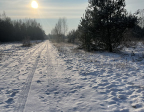 Działka na sprzedaż, Żyrardowski (Pow.) Radziejowice (Gm.) Budy Józefowskie, 350 000 zł, 2000 m2, 9