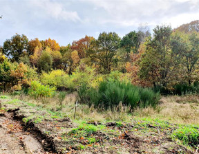 Działka na sprzedaż, Koszalin Lubiatowo Lubiatowska, 222 900 zł, 1081 m2, 3403113