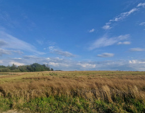 Działka na sprzedaż, Słupski Kobylnica Bolesławice Oliwkowa, 1 799 999 zł, 13 186 m2, 39/7067/OGS