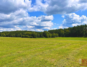 Działka na sprzedaż, Olsztyński Olsztynek, 290 000 zł, 1600 m2, 992615/EM5/DZS-3383