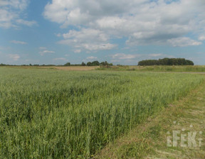 Działka na sprzedaż, Żyrardowski Puszcza Mariańska Stary Łajszczew, 495 000 zł, 50 406 m2, 290