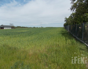 Działka na sprzedaż, Żyrardowski Puszcza Mariańska Korabiewice, 385 000 zł, 38 500 m2, 286