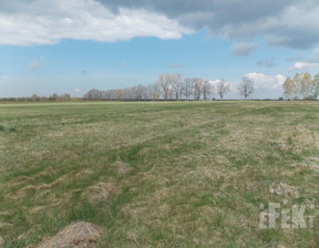 Działka na sprzedaż, Żyrardowski Puszcza Mariańska Zator, 150 000 zł, 3006 m2, 190