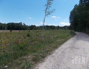 Działka na sprzedaż, Żyrardowski Radziejowice Tartak Brzózki, 120 000 zł, 1309 m2, 289