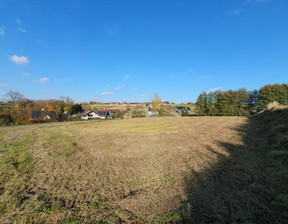 Działka na sprzedaż, Krakowski (Pow.) Michałowice (Gm.) Zdziesławice, 834 800 zł, 2830 m2, 333765