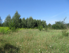 Działka na sprzedaż, Działdowski (Pow.) Iłowo-Osada (Gm.) Kraszewo, 450 000 zł, 19 600 m2, 21010062