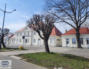 Hotel do wynajęcia, Pucki (Pow.) Władysławowo (Gm.) Towarowa, 6792 zł, 226,4 m2, 21009977