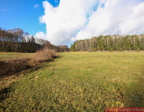 Działka na sprzedaż, Kępiński Bralin Weronikopole, 270 000 zł, 3700 m2, 2178/3265/OGS