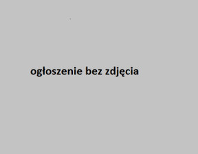 Przemysłowy na sprzedaż, Sieradzki (pow.) Goszczanów (gm.) Goszczanów, 76 000 zł, 1900 m2, 24084698