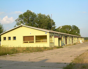 Lokal na sprzedaż, Legionowski (pow.) Wieliszew (gm.) Wieliszew, 2 950 000 zł, 982 m2, 24085019