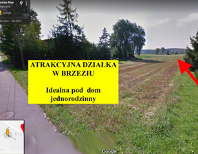 Działka na sprzedaż, Krakowski Zabierzów Brzezie, 249 000 zł, 729 m2, 23/5698/OGS