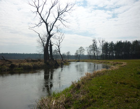 Budowlany na sprzedaż, Brodnicki (Pow.) Brzozie (Gm.) Brzozie, 735 000 zł, 61 500 m2, 47-184