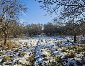 Działka na sprzedaż, Przysuski Przysucha Smogorzów Główna, 239 000 zł, 3002 m2, 63/6011/OGS