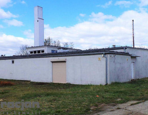 Fabryka, zakład na sprzedaż, Obornicki Rogoźno, 1 500 000 zł, 800 m2, 136290255