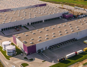 Magazyn do wynajęcia, Warszawski Zachodni Błonie, 26 100 euro (112 491 zł), 5800 m2, 88G895330