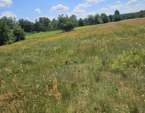 Działka na sprzedaż, Nowodworski Leoncin Teofile, 260 000 zł, 11 500 m2, 520/2522/OGS