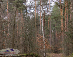 Leśne na sprzedaż, Dąbrowski Dąbrowa Tarnowska Gruszów Wielki, 48 500 zł, 11 500 m2, JSN-GS-2333
