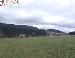 Działka na sprzedaż, Kłodzki Nowa Ruda Bartnica, 190 000 zł, 1585 m2, 530/14328/OGS