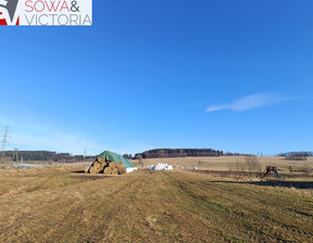 Działka na sprzedaż, Kamiennogórski Kamienna Góra Gorzeszów, 264 000 zł, 6600 m2, 616/14328/OGS