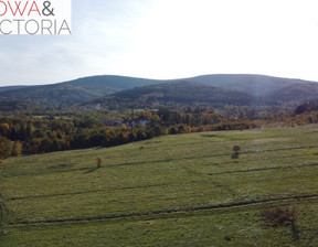 Działka na sprzedaż, Lubański Leśna Pobiedna, 299 000 zł, 4110 m2, 623/14328/OGS