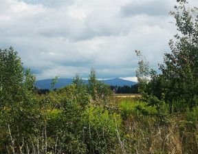 Działka na sprzedaż, Karkonoski Stara Kamienica Kromnów, 179 000 zł, 1556 m2, 362/14328/OGS