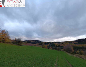 Działka na sprzedaż, Wałbrzyski Stare Bogaczowice Lubomin, 170 000 zł, 2000 m2, 601/14328/OGS