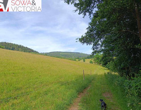 Działka na sprzedaż, Kłodzki Nowa Ruda Ludwikowice Kłodzkie, 250 000 zł, 4000 m2, 667/14328/OGS