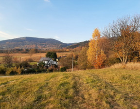 Budowlany na sprzedaż, Kłodzki Nowa Ruda Jugów, 907 000 zł, 9070 m2, 205/14328/OGS