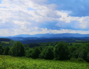 Działka na sprzedaż, Lwówecki Wleń Radomice, 119 000 zł, 1066 m2, 374/14328/OGS