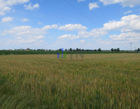 Przemysłowy na sprzedaż, Wrocławski Czernica Ratowice, 195 000 zł, 3000 m2, 180140345