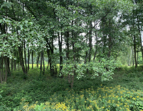 Budowlany na sprzedaż, Grodziski Grodzisk Mazowiecki Czarny Las, 400 000 zł, 3168 m2, 48740716