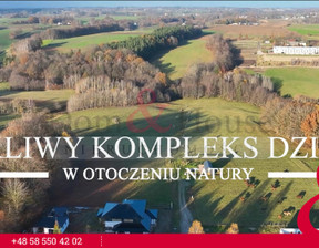 Budowlany na sprzedaż, Kartuski Przodkowo, 2 100 000 zł, 13 040 m2, DH686752