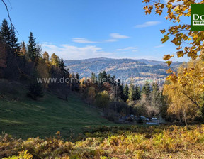 Działka na sprzedaż, Cieszyński Wisła, 890 000 zł, 18 141 m2, 3543