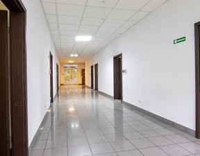 Biuro do wynajęcia, Poznań Nowe Miasto Zawady, 10 472 zł, 240 m2, 370160362