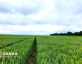 Rolny na sprzedaż, Krakowski Liszki Morawica, 499 000 zł, 19 900 m2, DNX-GS-27033-1
