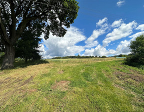 Dom na sprzedaż, Kłodzki Nowa Ruda Dzikowiec, 128 000 zł, 125 m2, NNR-DS-68