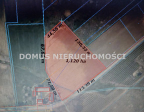Rolny na sprzedaż, Brzeziński Brzeziny Buczek, 99 000 zł, 10 800 m2, DMU-GS-605-4