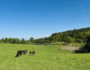 Działka na sprzedaż, Słupski (Pow.) Smołdzino (Gm.) Żelazo, 350 000 zł, 33 900 m2, 245