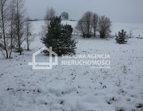 Rolny na sprzedaż, Kartuski Stężyca Niesiołowice Rzepiska, 260 000 zł, 10 000 m2, DJ632947