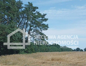 Rolny na sprzedaż, Lęborski Nowa Wieś Lęborska Wilkowo Nowowiejskie, 1 151 885 zł, 32 911 m2, DJ828653