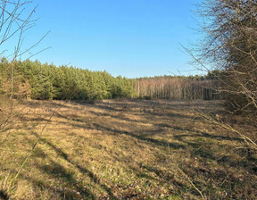 Działka na sprzedaż, Górowski (Pow.) Jemielno (Gm.) Czeladź Mała, 50 000 zł, 1373 m2, 88