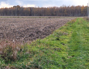 Budowlany na sprzedaż, Gliwicki (pow.) Rudziniec (gm.) Rudno, 165 000 zł, 1050 m2, 4878